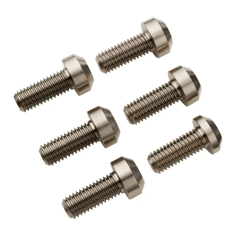 Burgtec Santa Cruz Titanium eBike Motor Bolts in Silver