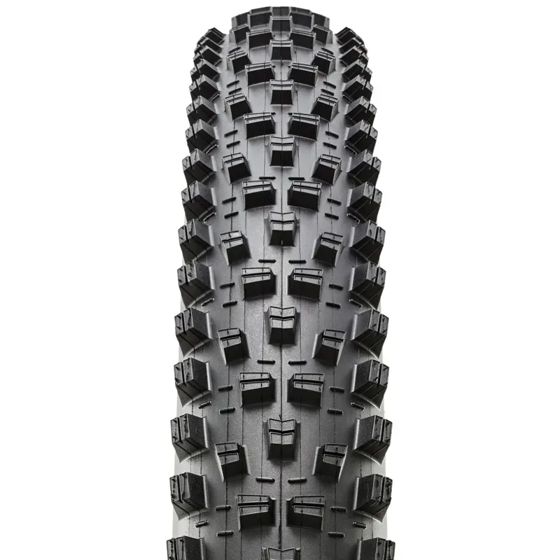 Maxxis Forekaster Folding EXO TR Tyre in Black-1