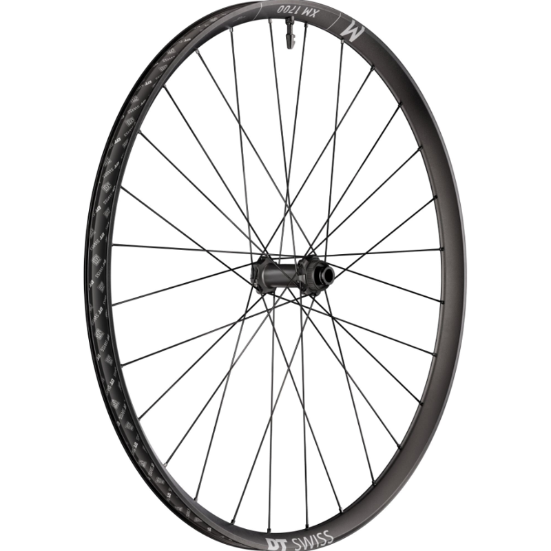 DT SWISS XM17 29x30 BOOST15 FR Black 29 inches