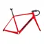 Cervélo R5 Frameset in Tiger Eye